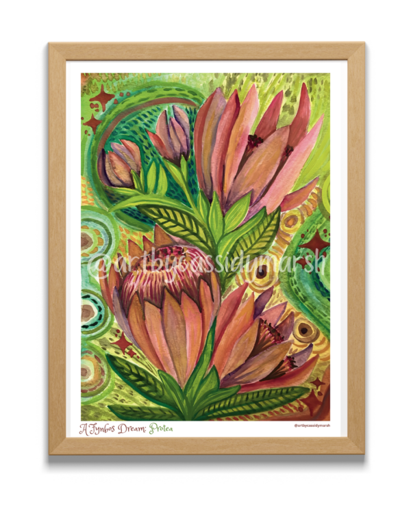 A Fynbos Dream: Protea